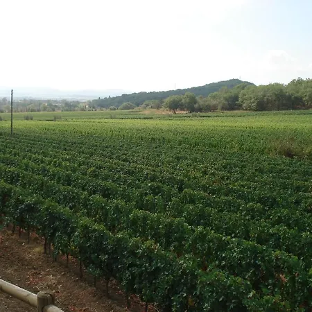 La Fontanella&glamping Alloggio per agriturismo *