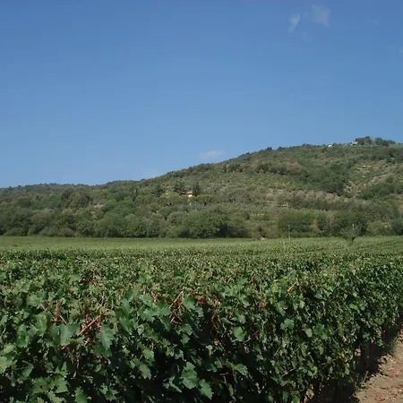 La Fontanella&glamping Alloggio per agriturismo Suvereto