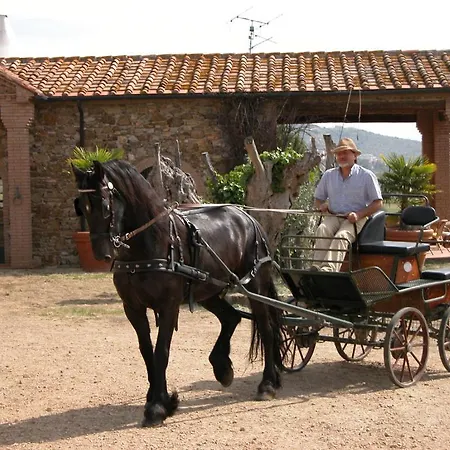 La Fontanella&glamping Alloggio per agriturismo